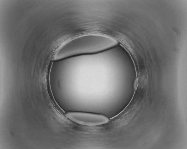 X0000112790389200908281511