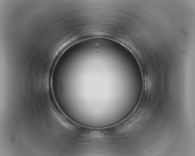 X0000112790390200908281511