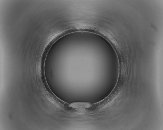 X0000112790391200908281511