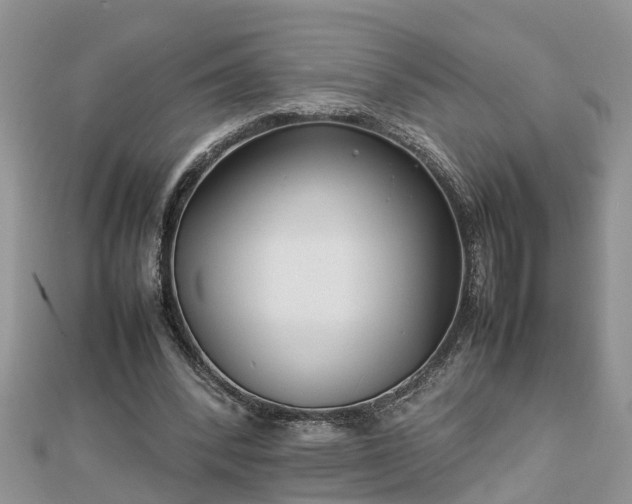 X0000112790392200908281511