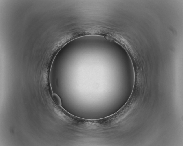 X0000112790393200908281511