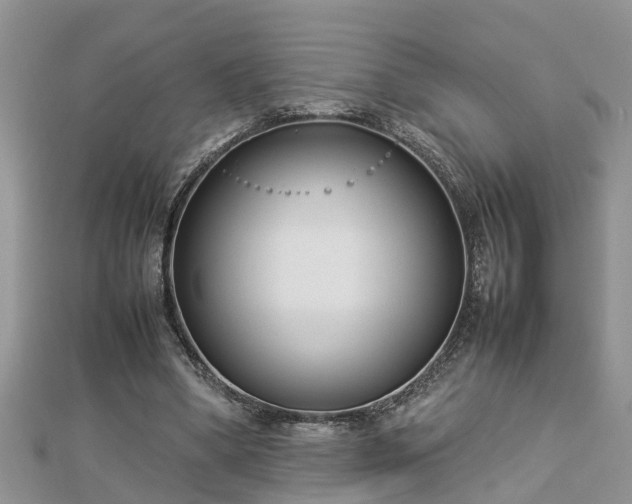 X0000112790394200908281511