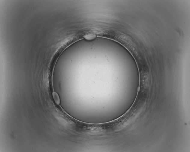 X0000112790395200908281511