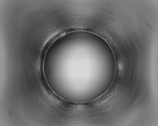 X0000112790396200908281511