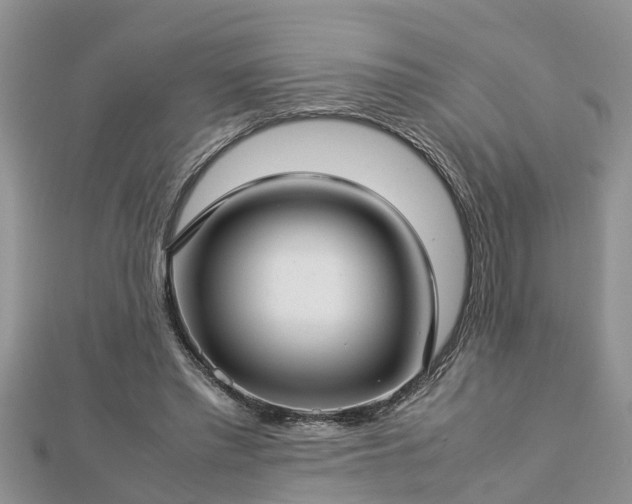 X0000112790397200908281511