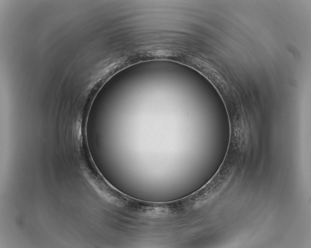 X0000112790398200908281511