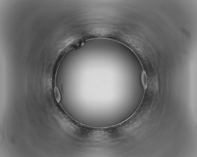 X0000112790399200908281511