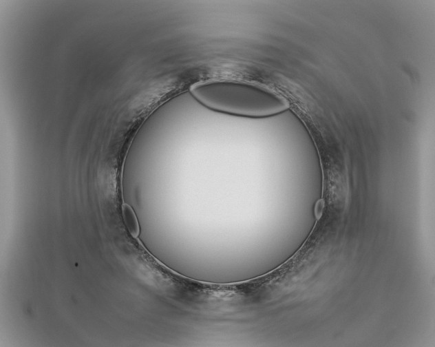 X0000112790401200908281511