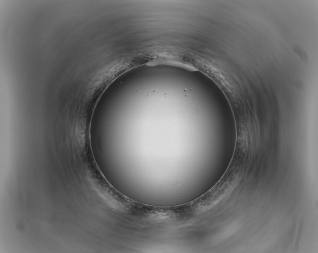 X0000112790402200908281511