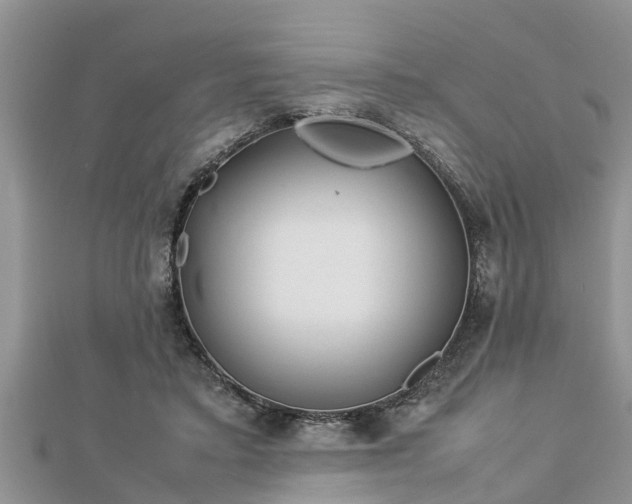 X0000112790403200908281511