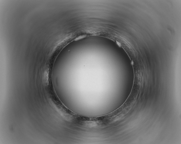 X0000112790404200908281511