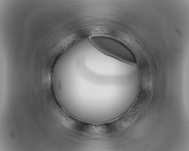 X0000112790405200908281511