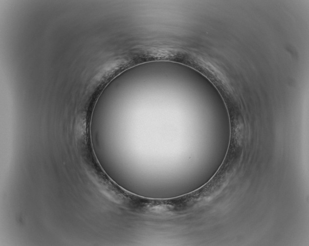 X0000112790407200908281511