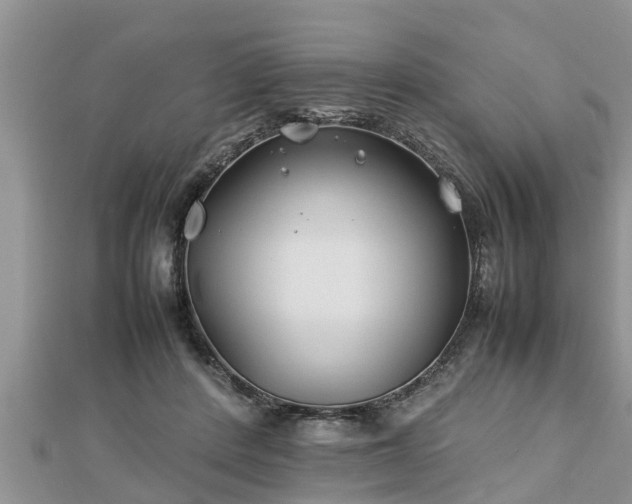 X0000112790408200908281511