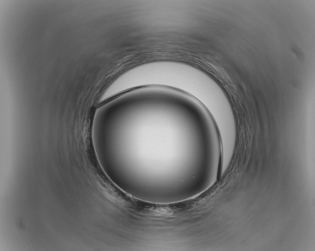 X0000112790409200908281511