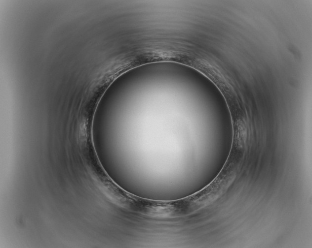 X0000112790410200908281511