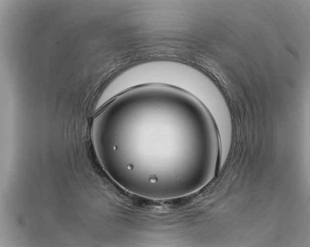 X0000112790411200908281511