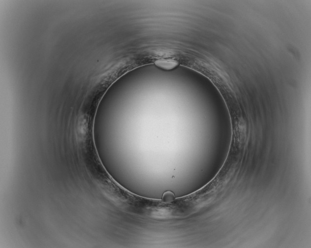 X0000112790412200908281511