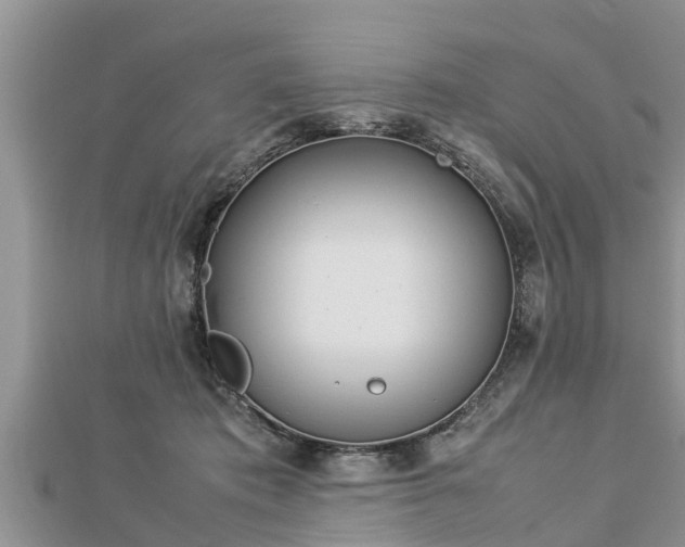 X0000112790413200908281511