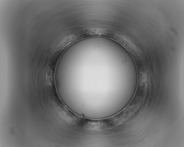 X0000112790414200908281511