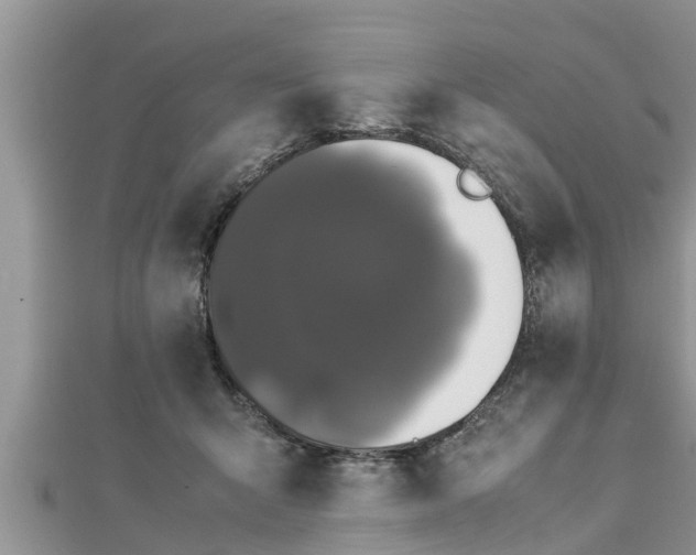 X0000112790415200908281511