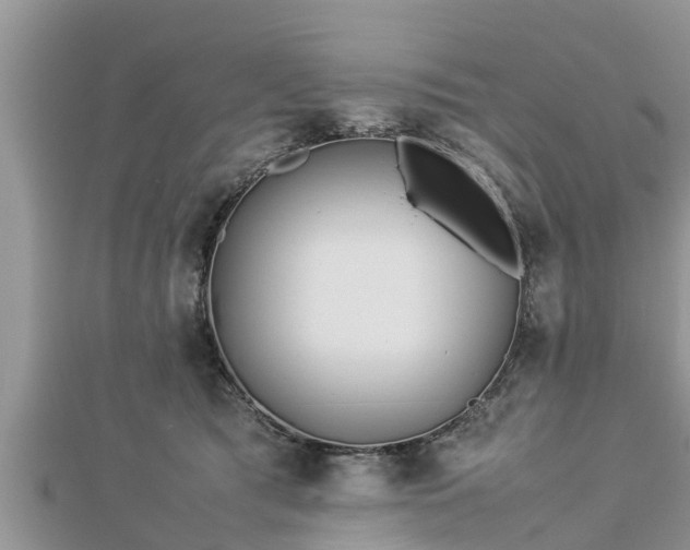 X0000112790417200908281511