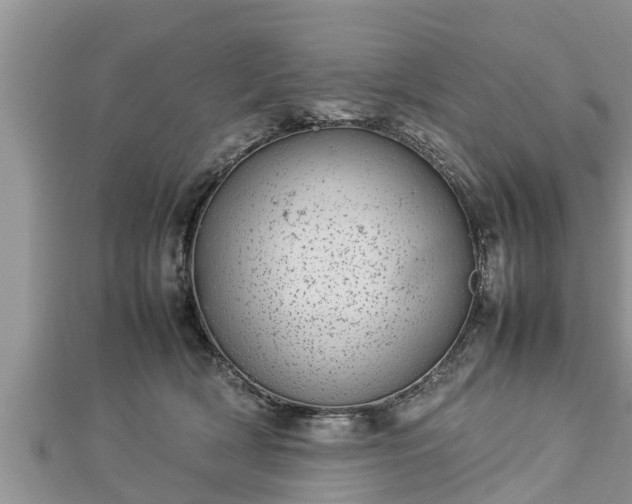 X0000112790418200908281511