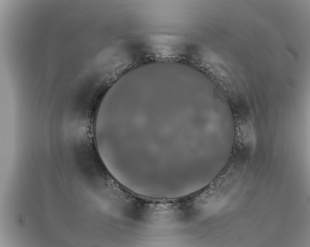 X0000112790419200908281511