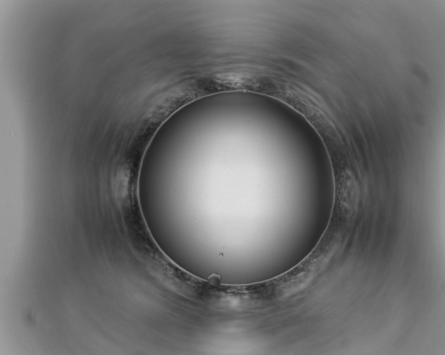 X0000112790420200908281511