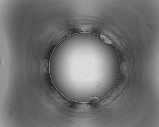 X0000112790421200908281511