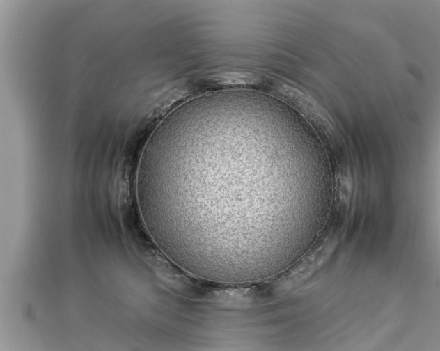 X0000112790422200908281511