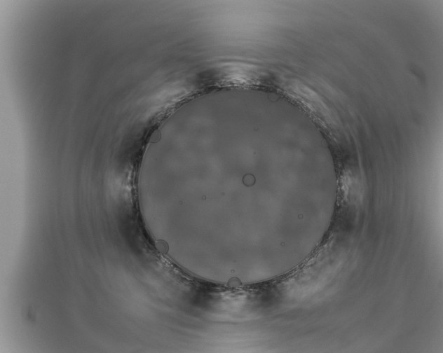 X0000112790423200908281511