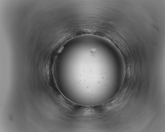 X0000112790424200908281511