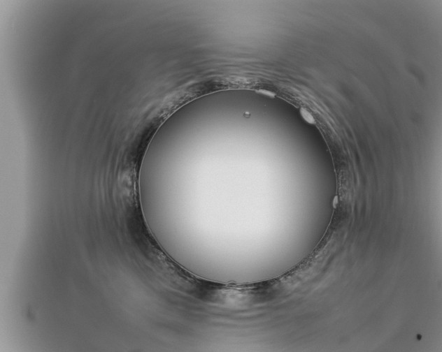 X0000112790425200908281511