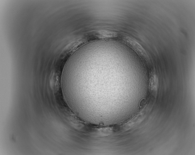 X0000112790426200908281511