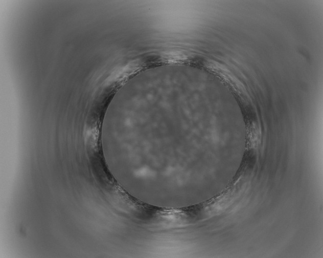 X0000112790427200908281511