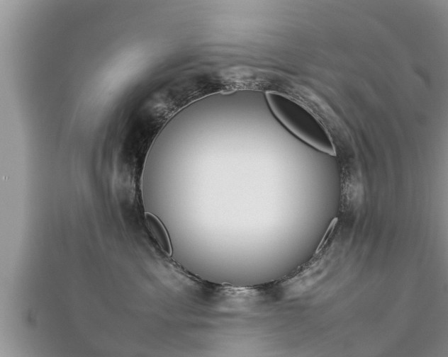 X0000112790429200908281511