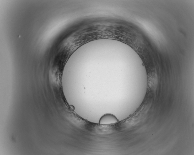 X0000112790431200908281511