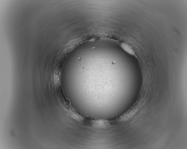 X0000112790432200908281511