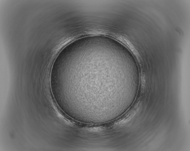 X0000112790433200908281510