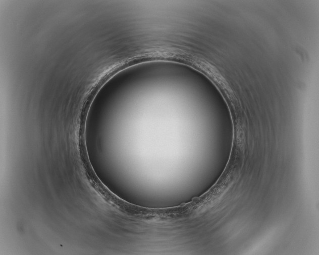 X0000112790434200908281510