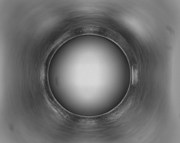 X0000112790435200908281510