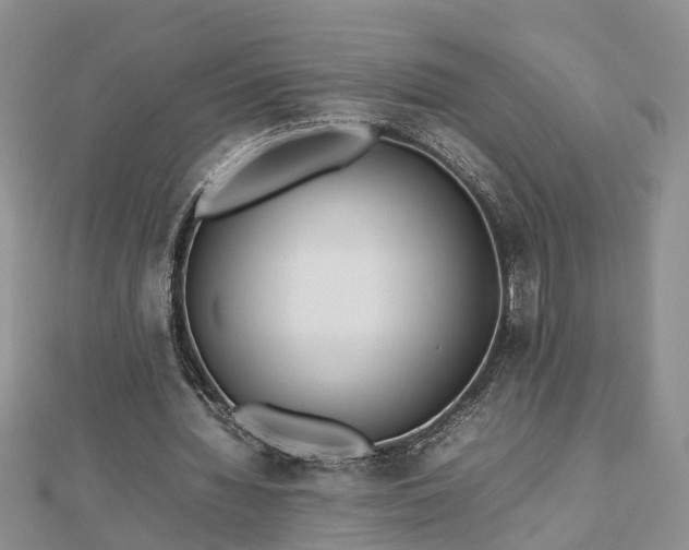 X0000112790436200908281510