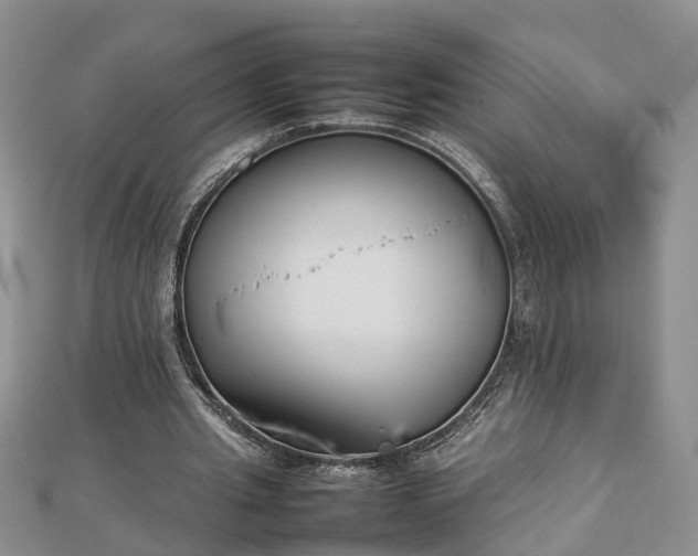 X0000112790437200908281510