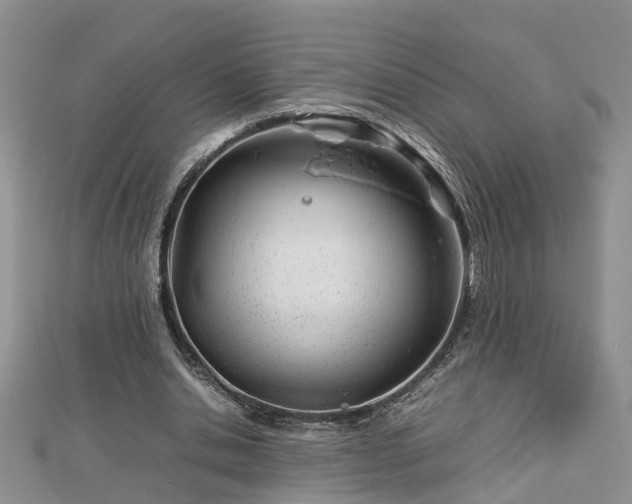 X0000112790438200908281510