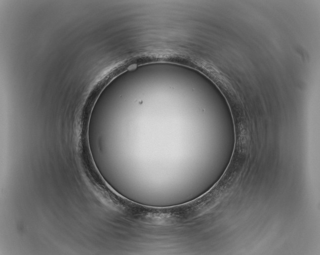 X0000112790440200908281510