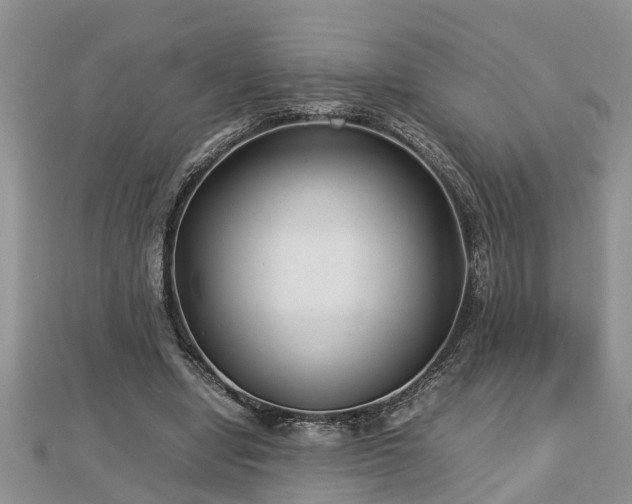 X0000112790442200908281510