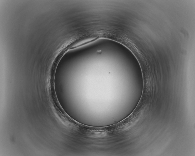 X0000112790443200908281510