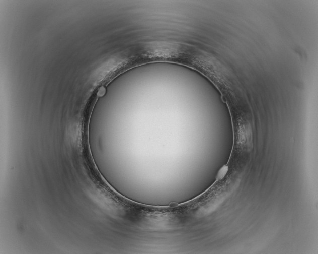 X0000112790444200908281510