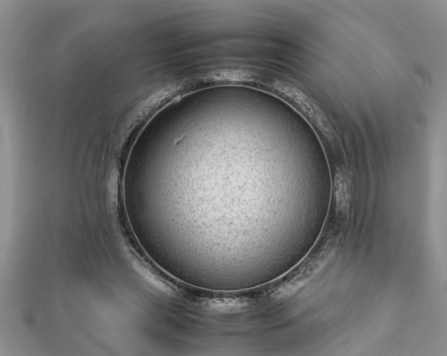 X0000112790445200908281510